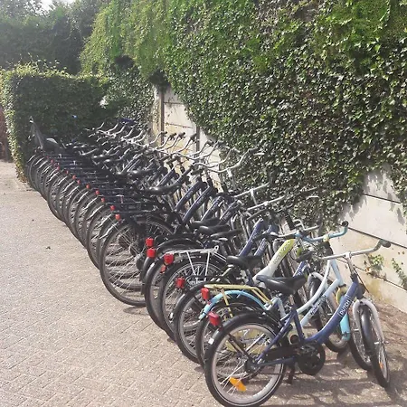 De Gouden Spar 3* Noordwijk
