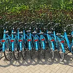 Parco vacanze De Gouden Spar 3*