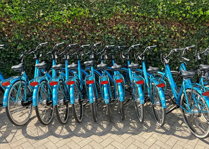 Πάρκο διακοπών De Gouden Spar 3*